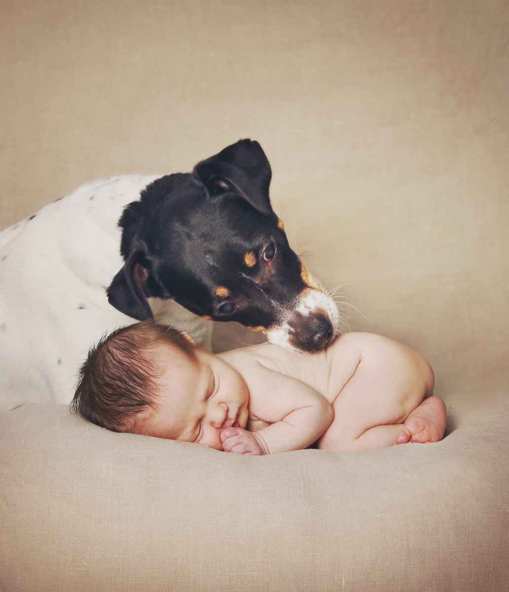 koira ja vauva